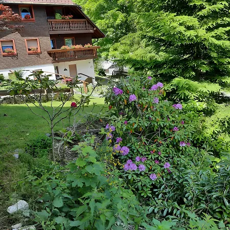 Haus Maria * Todtnau